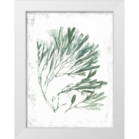 Emerald Coral II  White Modern Wood Framed Art Print by Wilson, Aimee