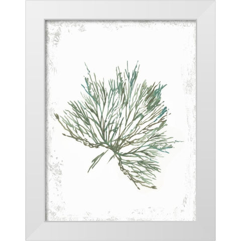 Emerald Coral III  White Modern Wood Framed Art Print by Wilson, Aimee