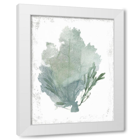 Teal Delicate Coral I  White Modern Wood Framed Art Print by Wilson, Aimee