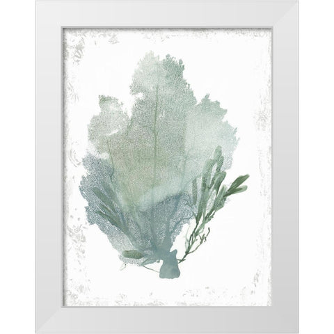 Teal Delicate Coral I  White Modern Wood Framed Art Print by Wilson, Aimee