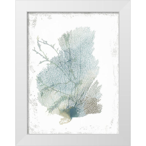 Teal Delicate Coral II  White Modern Wood Framed Art Print by Wilson, Aimee