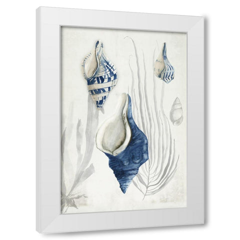 Antique Shells I  White Modern Wood Framed Art Print by Wilson, Aimee