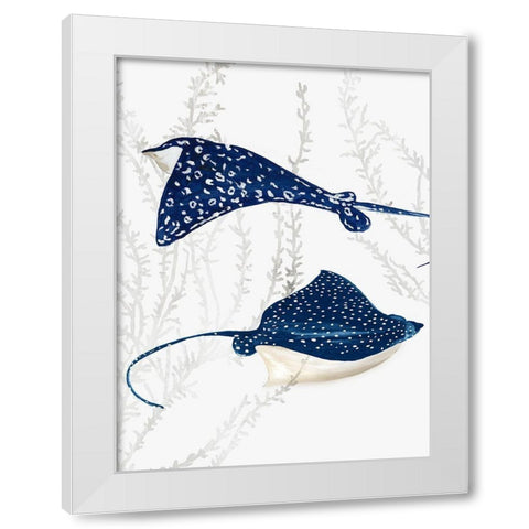 Blue Stingray III White Modern Wood Framed Art Print by Wilson, Aimee