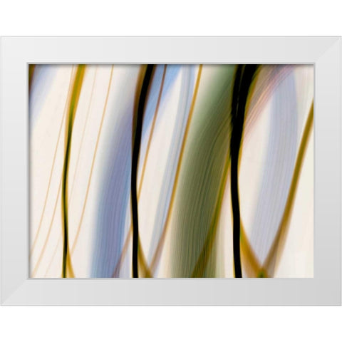 Silk Waves I White Modern Wood Framed Art Print by Cooke, William