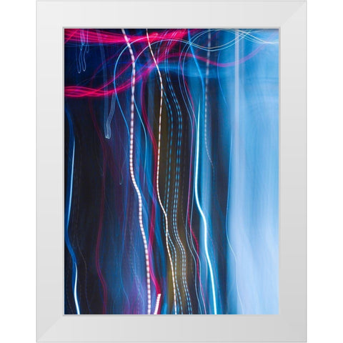 Stems II White Modern Wood Framed Art Print by Cooke, William