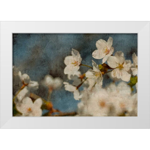 Early Dew White Modern Wood Framed Art Print by Cooke, William