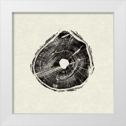 Muskoka Woods III White Modern Wood Framed Art Print by Yiu, Wendy