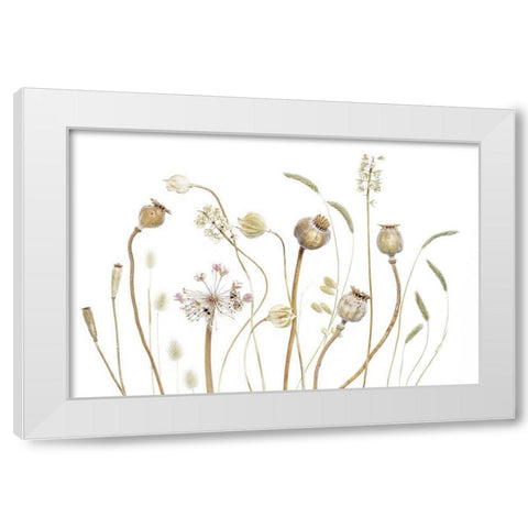 PODS White Modern Wood Framed Art Print by Disher