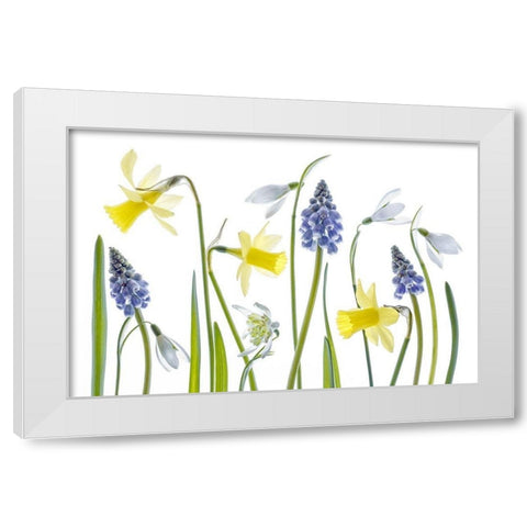 Spring White Modern Wood Framed Art Print by Disher