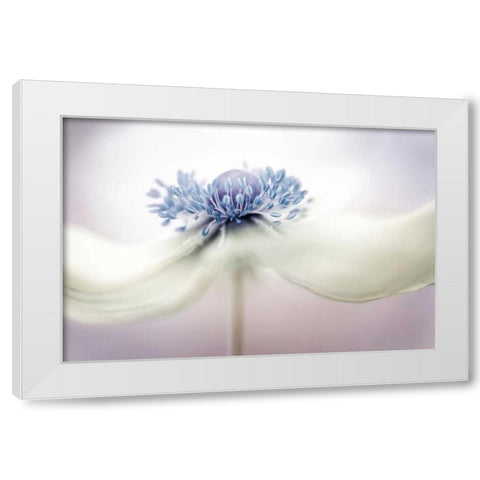 Disher - Anemone White Modern Wood Framed Art Print by 1x