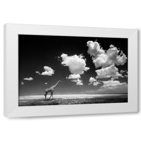 Ghizzi Panizza -Gone with the Clouds White Modern Wood Framed Art Print by 1x