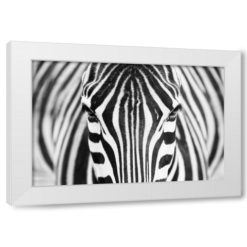 Alhumaid White Modern Wood Framed Art Print by 1x
