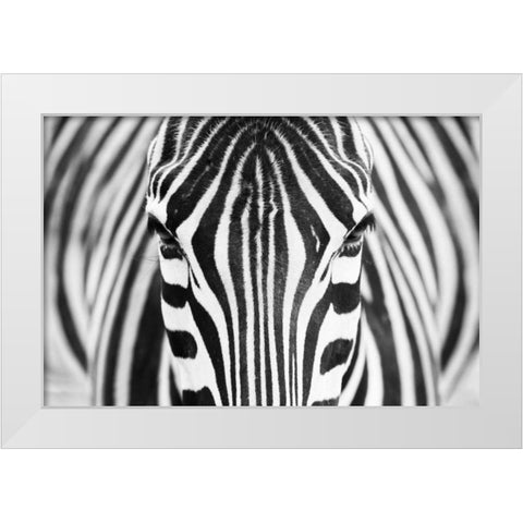 Alhumaid White Modern Wood Framed Art Print by 1x