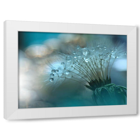 Nan White Modern Wood Framed Art Print by 1X