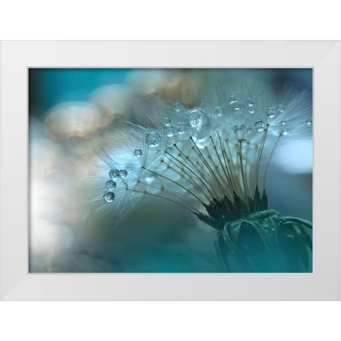 Nan White Modern Wood Framed Art Print by 1X