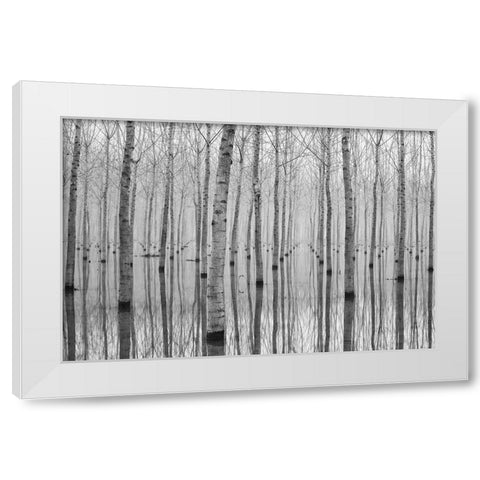 Novembre 2014 White Modern Wood Framed Art Print by Simone