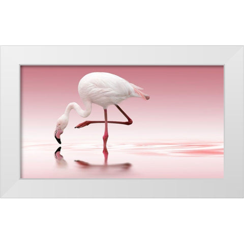 Reindl - Flamingo White Modern Wood Framed Art Print by 1x