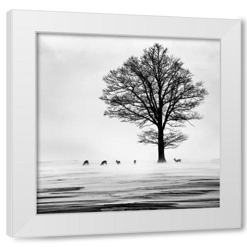Roes White Modern Wood Framed Art Print by Dansiga