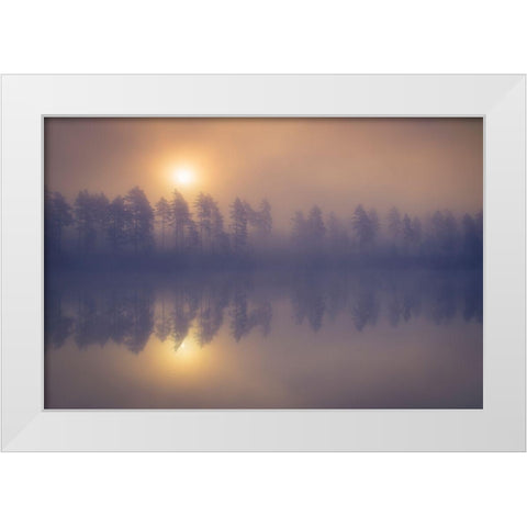 Misty trees White Modern Wood Framed Art Print by 1x