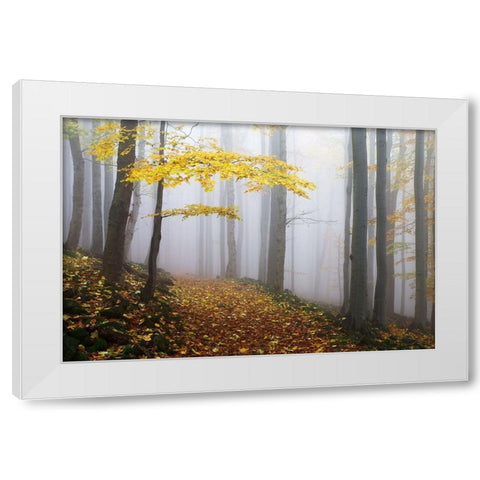 Untitled White Modern Wood Framed Art Print by 1x