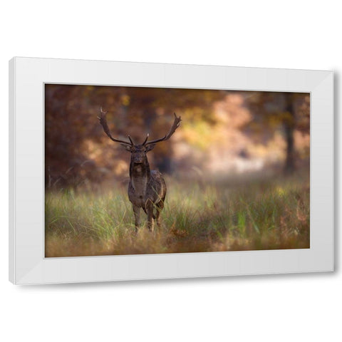 Posing White Modern Wood Framed Art Print by Mastahac