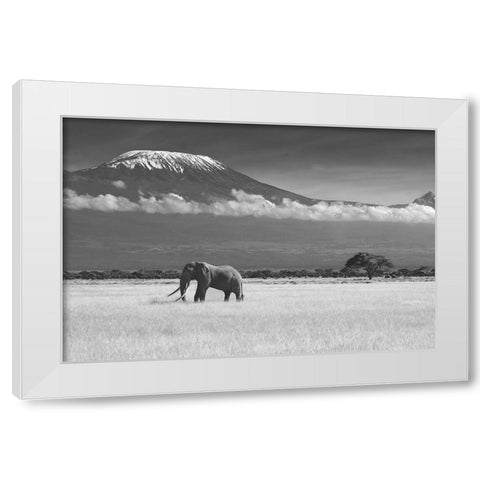 Lost Colors II White Modern Wood Framed Art Print by Canakci