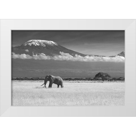 Lost Colors II White Modern Wood Framed Art Print by Canakci