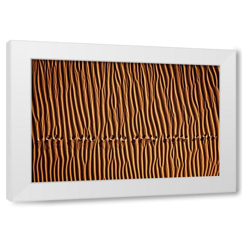 Momeni - Foot Print III White Modern Wood Framed Art Print by 1X