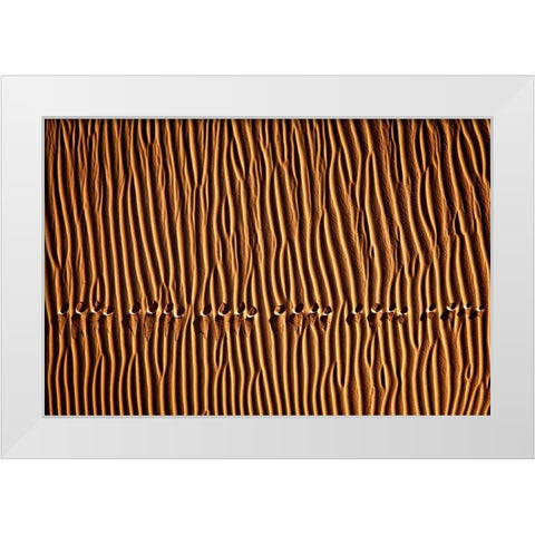 Momeni - Foot Print III White Modern Wood Framed Art Print by 1X