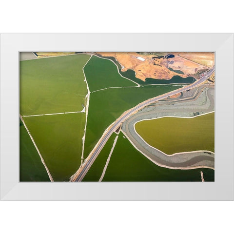 Darby - Boundaries White Modern Wood Framed Art Print by 1x