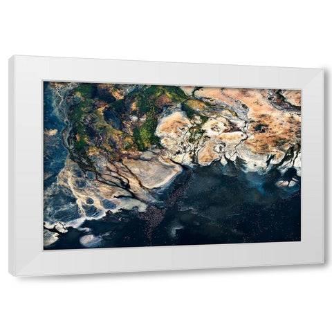 Fan - Splendid Africa White Modern Wood Framed Art Print by 1x