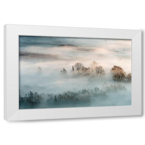 Winter Fog White Modern Wood Framed Art Print by Galimberti