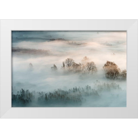 Winter Fog White Modern Wood Framed Art Print by Galimberti
