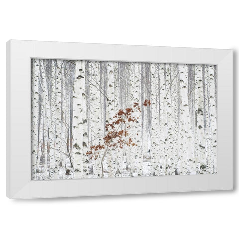 Hee Han - From White White Modern Wood Framed Art Print by 1x