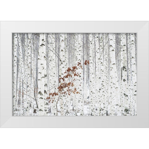 Hee Han - From White White Modern Wood Framed Art Print by 1x