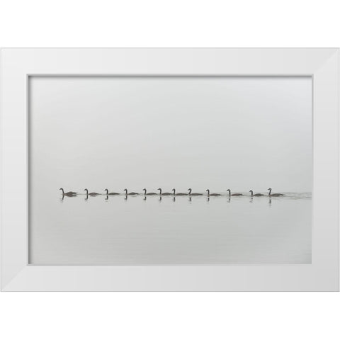 Follow me White Modern Wood Framed Art Print by Kalathas