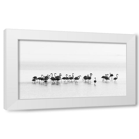 Gil Raga - Flamingos White Modern Wood Framed Art Print by 1x