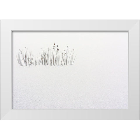 Frozen life White Modern Wood Framed Art Print by Scappazzoni