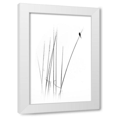 A Sabbatical White Modern Wood Framed Art Print by Swapnil