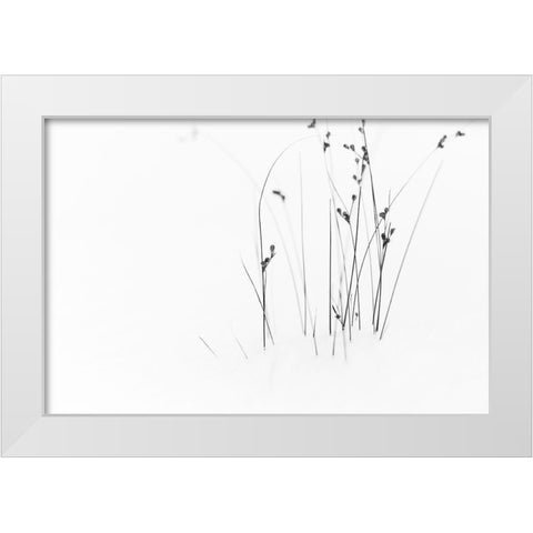 Black on White White Modern Wood Framed Art Print by Ljubicic