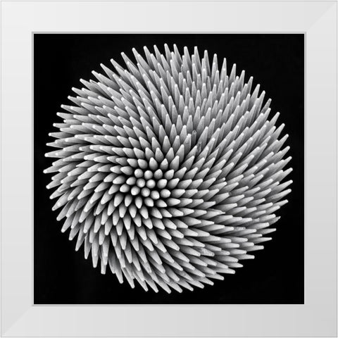 Hypnosis White Modern Wood Framed Art Print by Toniolo