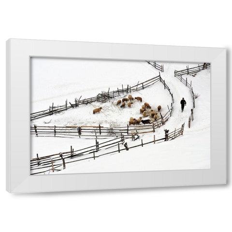 Protected Area White Modern Wood Framed Art Print by Harag
