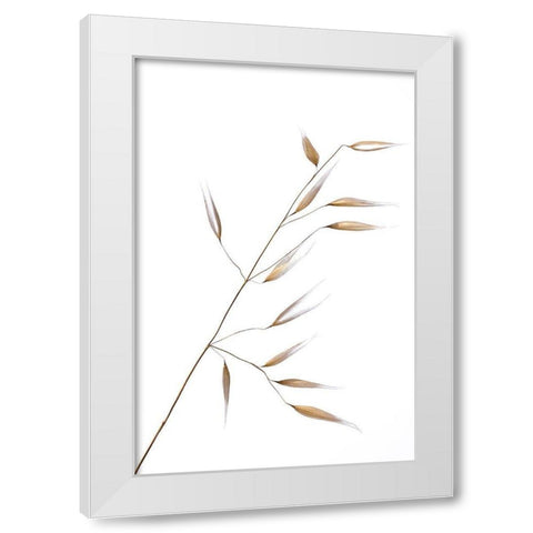 Lagandre- Subtle Delicateness  White Modern Wood Framed Art Print by 1x