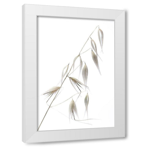 Reed Delicacy White Modern Wood Framed Art Print by Lagandre