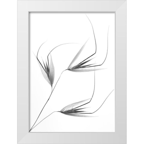 Not So Crazy White Modern Wood Framed Art Print by Lagandre