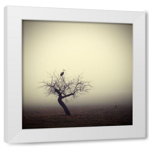 Meeting in the Morning White Modern Wood Framed Art Print by Droste