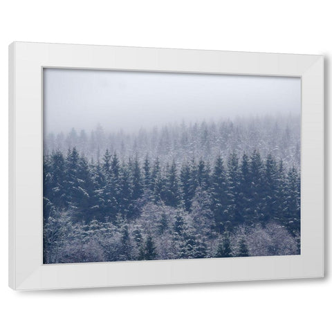 Frozen Trees White Modern Wood Framed Art Print by ChristensenÂ 