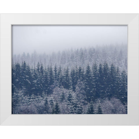 Frozen Trees White Modern Wood Framed Art Print by ChristensenÂ 