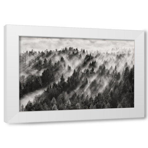 Sundance Evening White Modern Wood Framed Art Print by Baloh