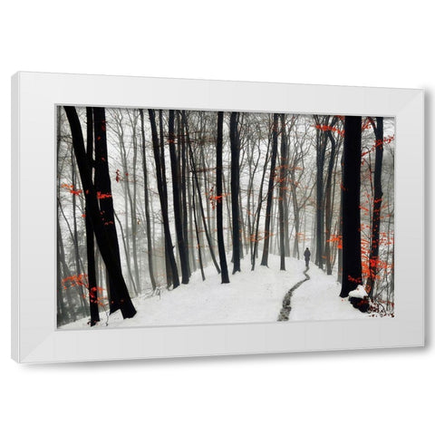 Through autumn and winter White Modern Wood Framed Art Print by Krivec